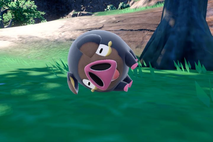 A screenshot from Pokemon Scarlet and Pokemon Violet. Lechonk, a Hig Pokemon, is laying in the shade beneath a tree.