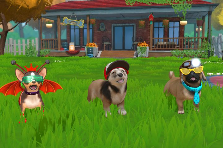 A screenshot from Little Friends: Puppy Island showing off three stylish pups.