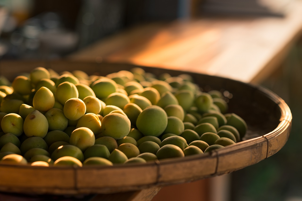 How to make umeshu Japanese Plum Wine 1