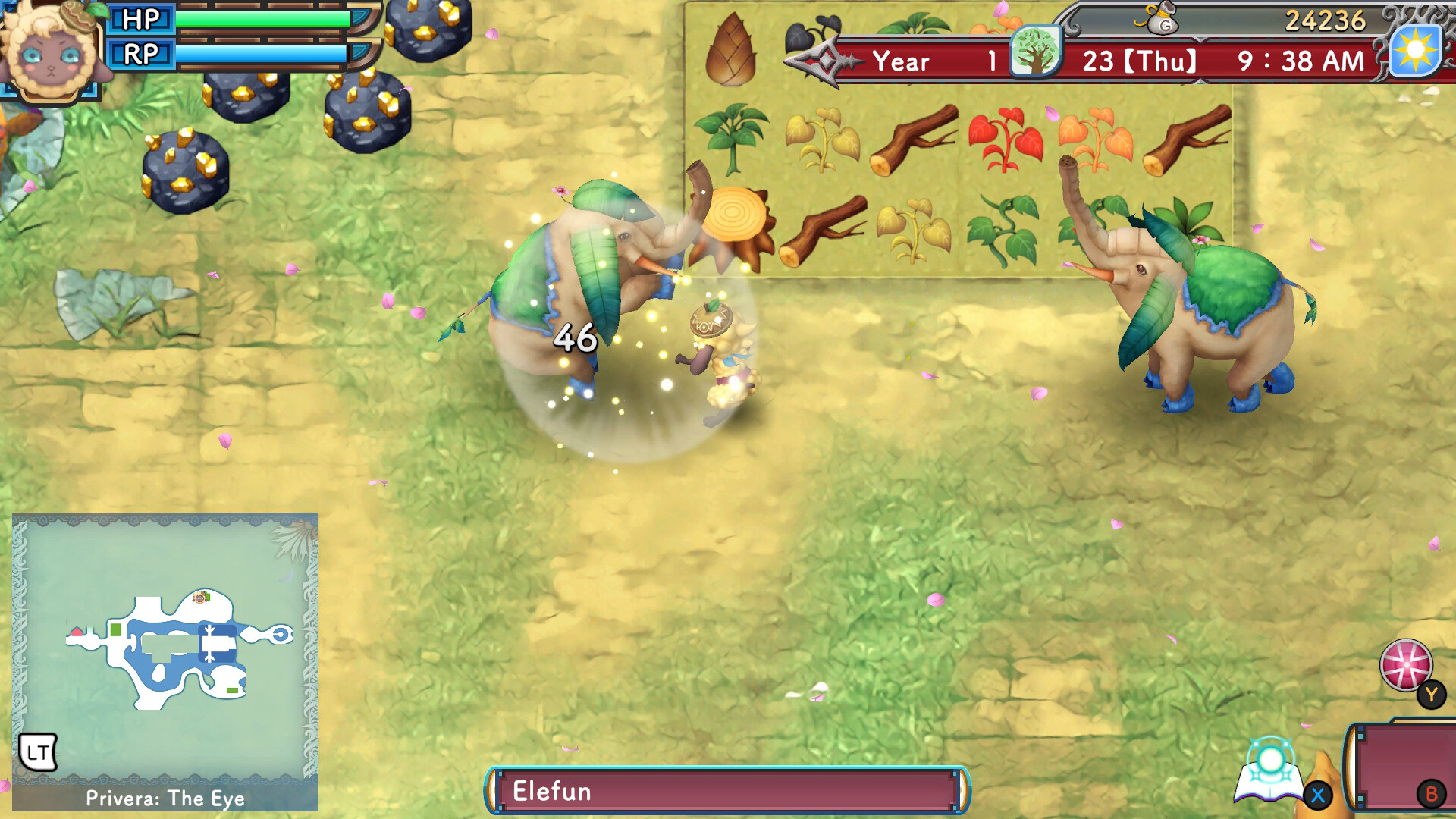 A Screenshot of Rune Factory 3 Special, showing the combat
