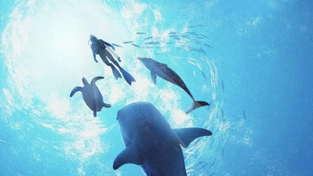 key art from Endless Ocean Luminous