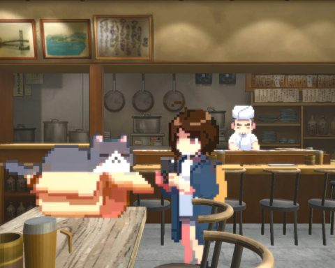 A screenshot of a cat in a box with a girl taking its photo, from Neko Odyssey.